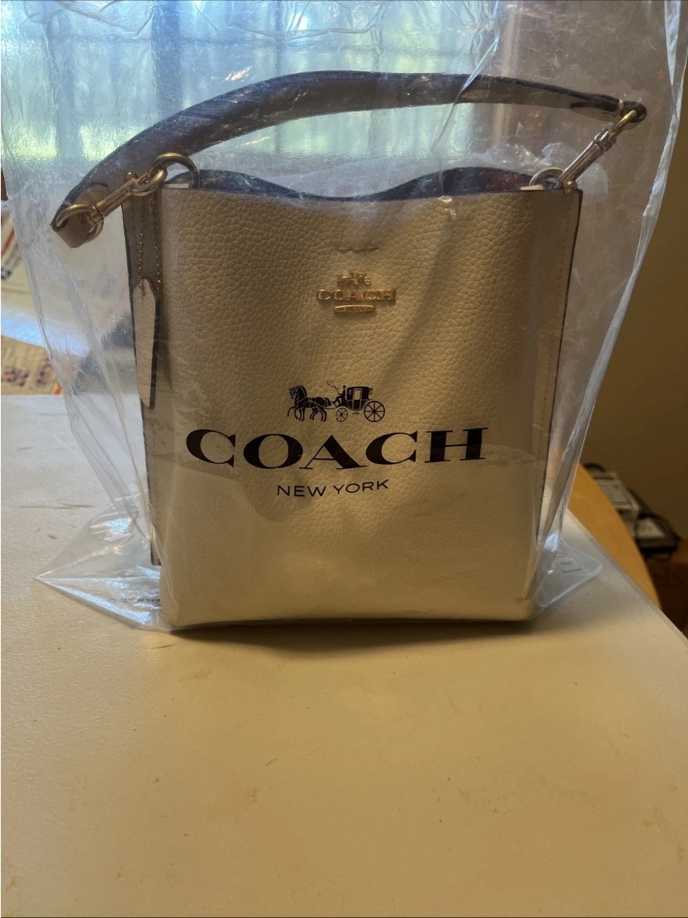 Coach Mollie 22 Bucket Bag Pebbled Leather chalk CA177 - Picture 10 of 13